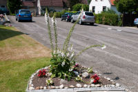 Broicher Siedlung, Heidestraße, Foto-Nr. 6, 27.06.2010