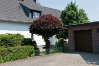 Broicher Siedlung, Osterfeldstraße, Foto-Nr. 11, 27.06.2010