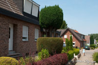 Broicher Siedlung, Osterfeldstraße, Foto-Nr. 41, 27.06.2010
