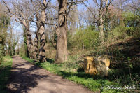 Gedenkstätten, Gedenkstein in Erinnerung an Josef Turski, Foto-Nr. 5, 02.04.2011|50.8543659999,6.14675999944