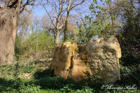 Gedenkstätten, Gedenkstein in Erinnerung an Josef Turski, Foto-Nr. 6, 02.04.2011|50.8544920005,6.14660799972
