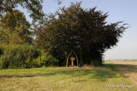 Kreuze am Wegesrand, 39. "Bettendorfer Kreuz", Foto-Nr. 3, 27.09.2009|50.8779916697,6.20358332997