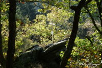 Kreuze am Wegesrand, 44. "Alsdorfer Bergmannskreuz", Foto-Nr. 4, 24.10.2011|50.56808333,6.29361111