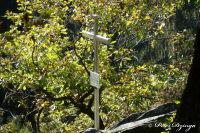 Kreuze am Wegesrand, 44. "Alsdorfer Bergmannskreuz", Foto-Nr. 6, 24.10.2011|50.56808333,6.29361111
