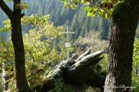 Kreuze am Wegesrand, 44. "Alsdorfer Bergmannskreuz", Foto-Nr. 5, 24.10.2011|50.56808333,6.29361111
