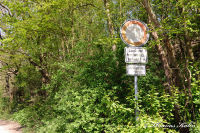 Schleibach, Gronsfeldweg, Foto-Nr. 4, 09.04.2011
