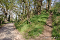 Schleibach, Gronsfeldweg, Foto-Nr. 5, 09.04.2011