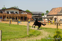Schleibach, Gronsfeldweg, Foto-Nr. 33, 01.05.2011