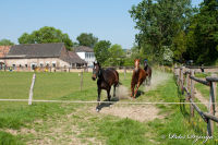 Schleibach, Gronsfeldweg, Foto-Nr. 28, 01.05.2011
