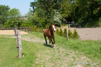 Schleibach, Gronsfeldweg, Foto-Nr. 30, 01.05.2011
