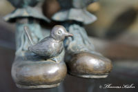 Sehenswürdigkeiten, Karnevalsbrunnen, Foto-Nr. 8, 02.04.2010|50.87439444,6.161303