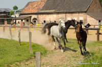 Schleibach, Gronsfeldweg, Foto-Nr. 22, 01.05.2011
